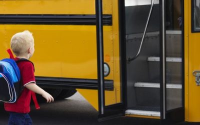 Why Aren’t Seat Belts Required on Large School Buses?